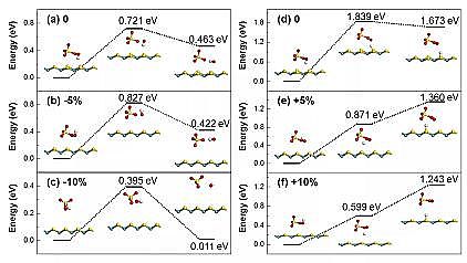 Ʒ13Xɸҹ㶫ҵѧEnviron. Sci. Nano: MoS2׻ѹһδٽˮлȾｵ