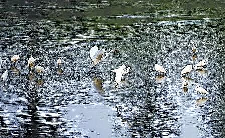 精选立体弹性填料厂家12.01亿立方米!北京再生水年使用总量连续三年全国第一