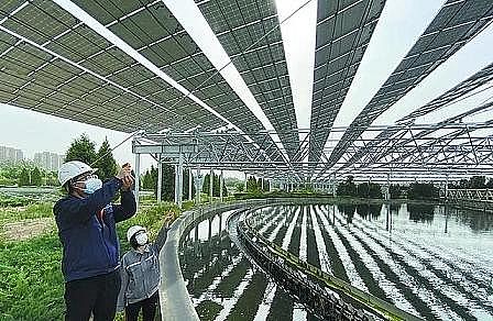 精选立体弹性填料厂家12.01亿立方米!北京再生水年使用总量连续三年全国第一