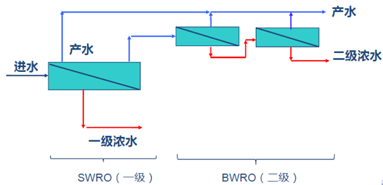 2022蹸ҷ͸-͸